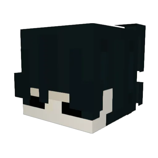 Luceez42 Minecraft avatar head, 3D render
