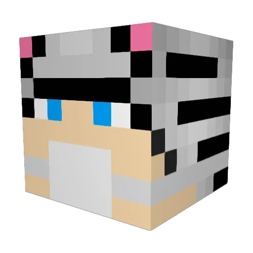 Luchtballon5 Minecraft avatar head, 3D render