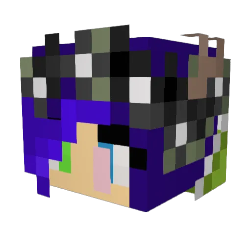 LuciFe26 Minecraft avatar head, 3D render