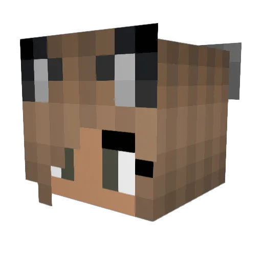 Luci_666 Minecraft avatar head, 3D render