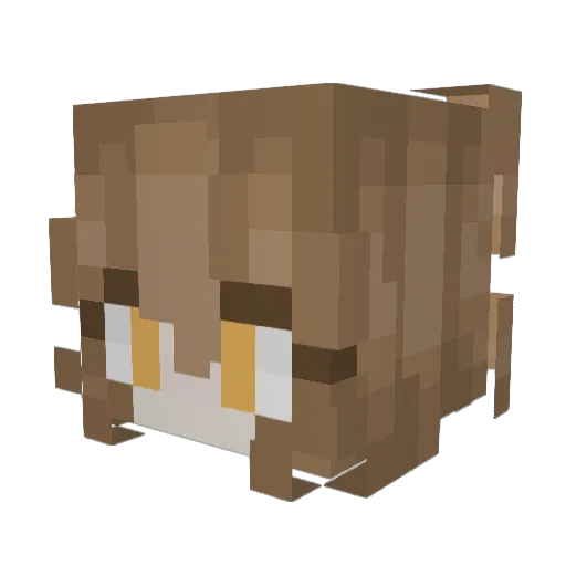 Luci_Puci_123 Minecraft avatar head, 3D render