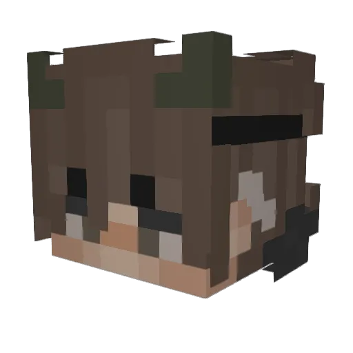Luci_goosy56 Minecraft avatar head, 3D render