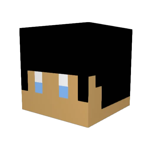 Lucia8317 Minecraft avatar head, 3D render