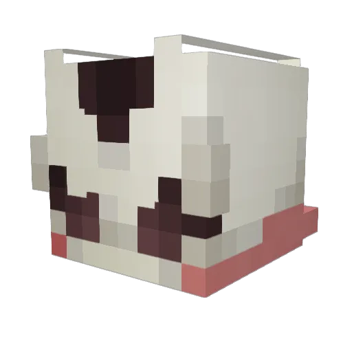 Lucian54321 Minecraft avatar head, 3D render