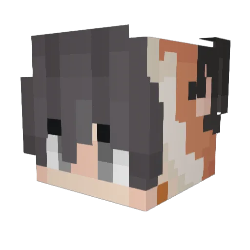 Luciasco Minecraft avatar head, 3D render