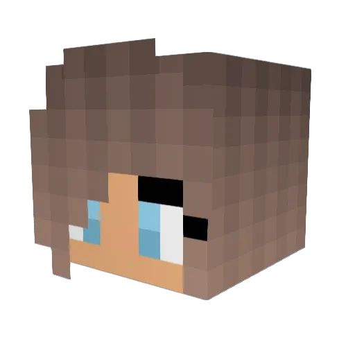 Luciasternchen Minecraft avatar head, 3D render