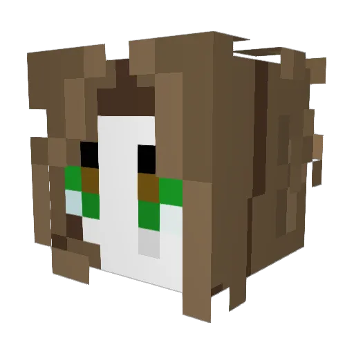 LucidFennec Minecraft avatar head, 3D render
