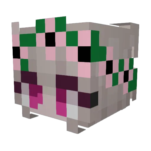 Lucie1498 Minecraft avatar head, 3D render
