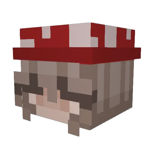 LucieHan Minecraft avatar head, 3D render