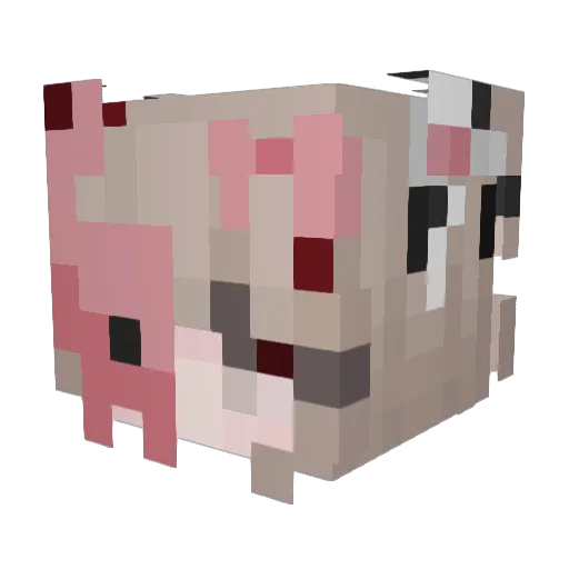 Lucielyn_ Minecraft avatar head, 3D render