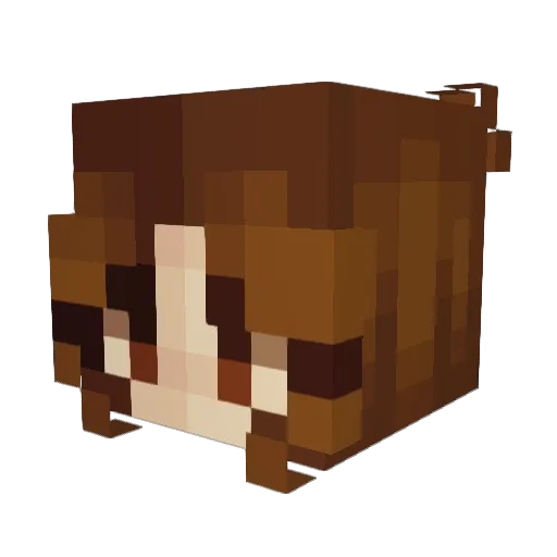LuciiaRP Minecraft avatar head, 3D render