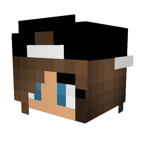 Lucilleeeex Minecraft avatar head, 3D render