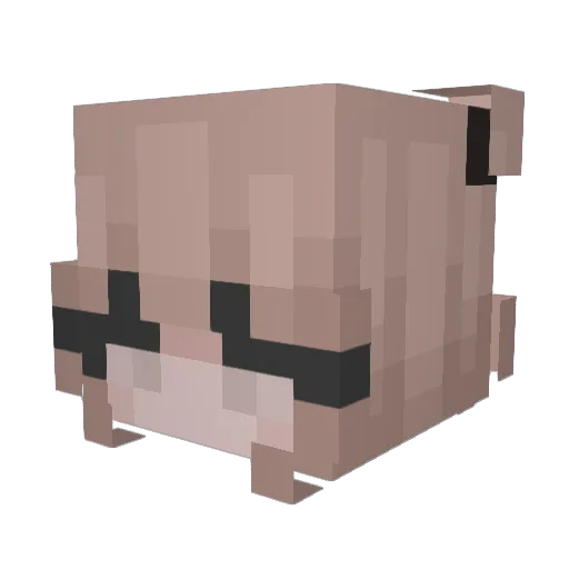 Lucilou2u Minecraft avatar head, 3D render