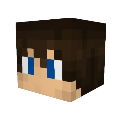 LucinSF Minecraft avatar head, 3D render