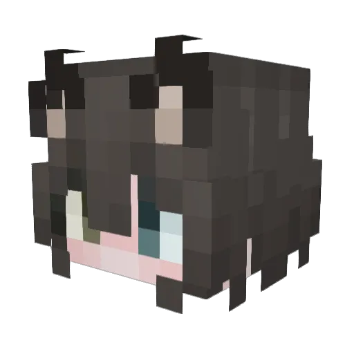 Lucina_ Minecraft avatar head, 3D render