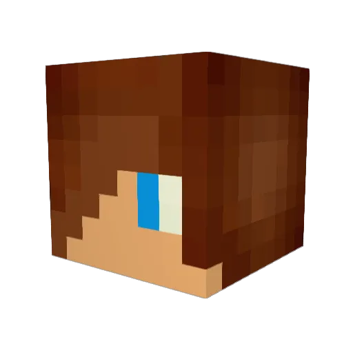 Luciole91310 Minecraft avatar head, 3D render