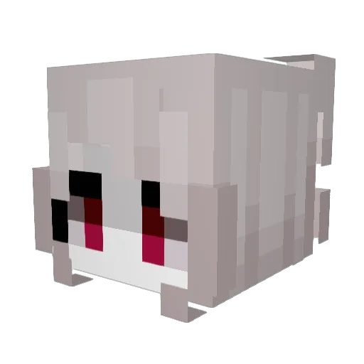Lucioleknm Minecraft avatar head, 3D render