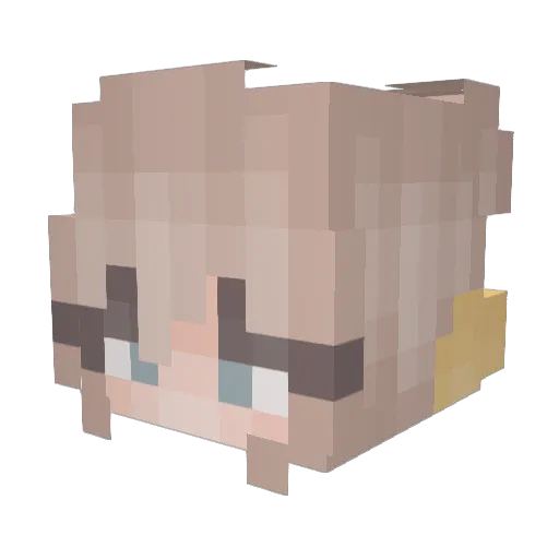 Lucisek23 Minecraft avatar head, 3D render