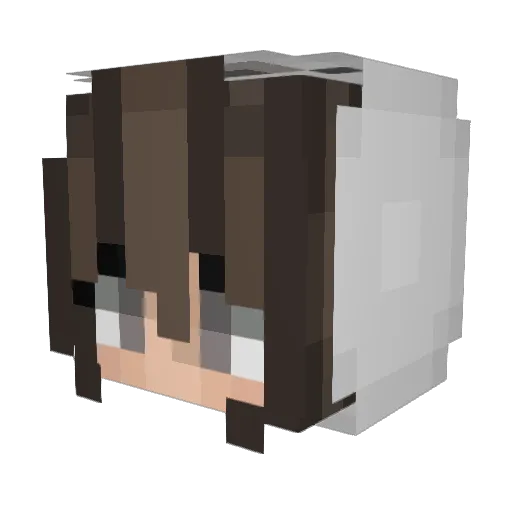 Lucisek97 Minecraft avatar head, 3D render