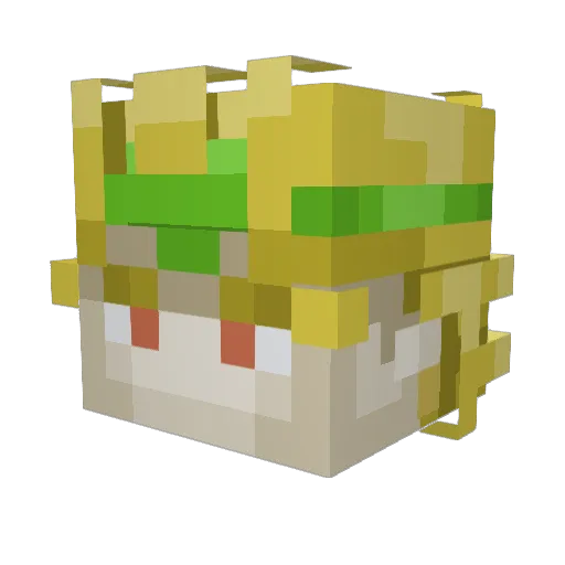 LuckBased14 Minecraft avatar head, 3D render