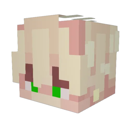 Luck_Lesszinn Minecraft avatar head, 3D render
