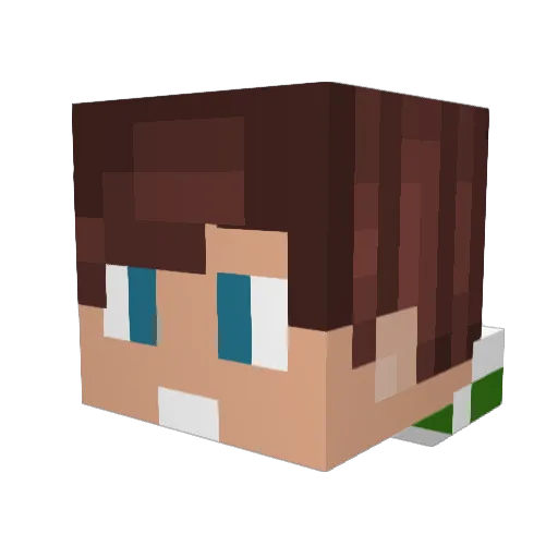 Luck_or_Skill26 Minecraft avatar head, 3D render