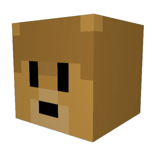 Lucke12325 Minecraft avatar head, 3D render