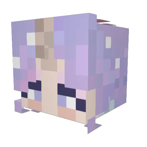 Luckii_Charms Minecraft avatar head, 3D render