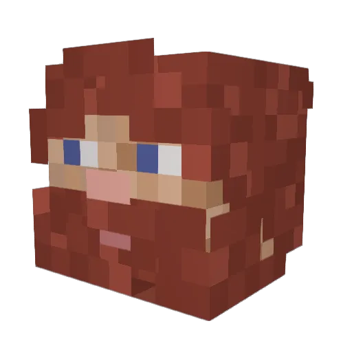 Luckipucki Minecraft avatar head, 3D render