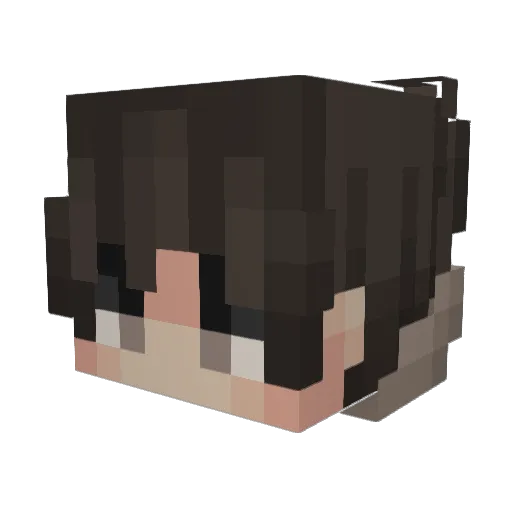 Luckster22 Minecraft avatar head, 3D render