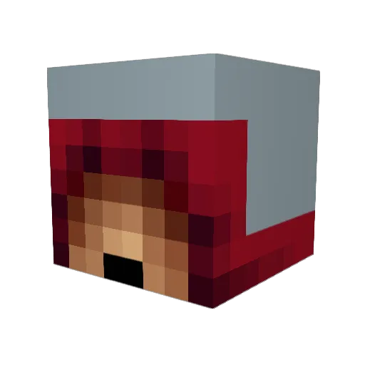 Lucky1729 Minecraft avatar head, 3D render