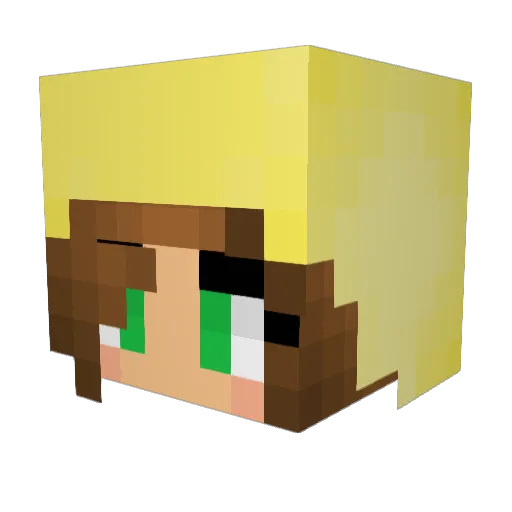 LuckyBucket9771 Minecraft avatar head, 3D render