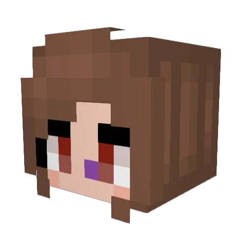 LuckyCharms16 Minecraft avatar head, 3D render