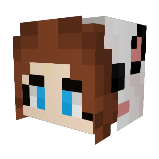 LuckyChina Minecraft avatar head, 3D render