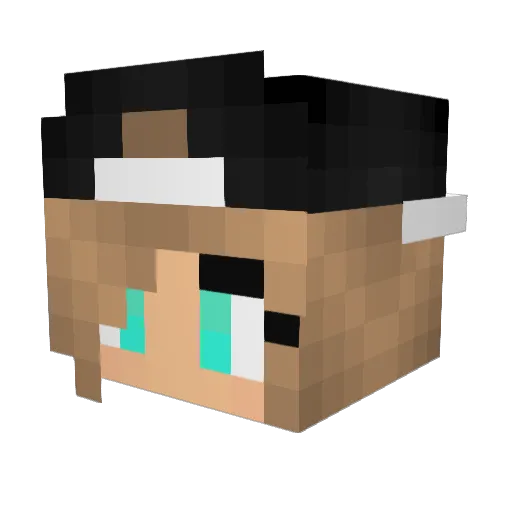 LuckyDarkNight Minecraft avatar head, 3D render