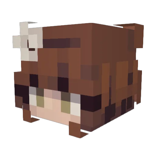 LuckyDreams218 Minecraft avatar head, 3D render