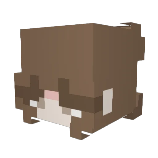 LuckyDuck35 Minecraft avatar head, 3D render