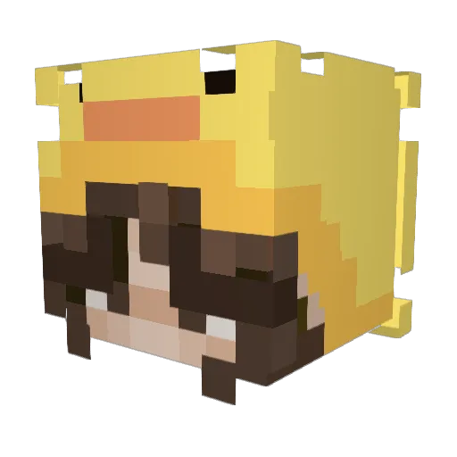 LuckyDucky2444 Minecraft avatar head, 3D render