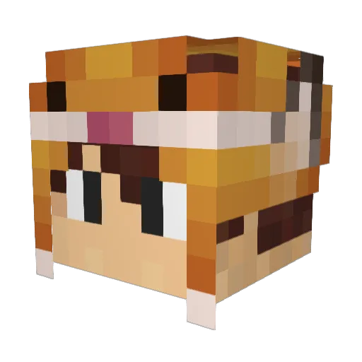 LuckyFX Minecraft avatar head, 3D render