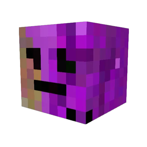 LuckyFloppy2011 Minecraft avatar head, 3D render