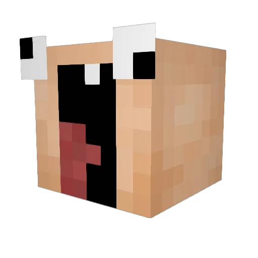 LuckyFox11 Minecraft avatar head, 3D render