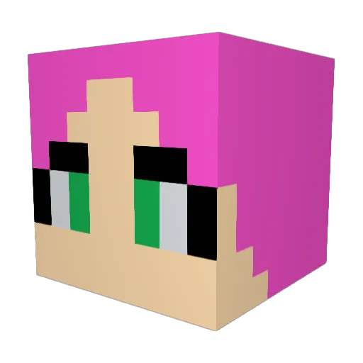 LuckyFun333 Minecraft avatar head, 3D render