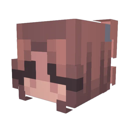 LuckyIgel Minecraft avatar head, 3D render