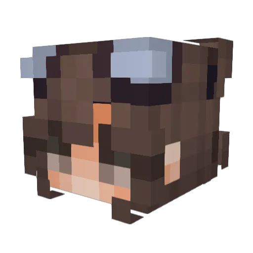 LuckyOvata Minecraft avatar head, 3D render