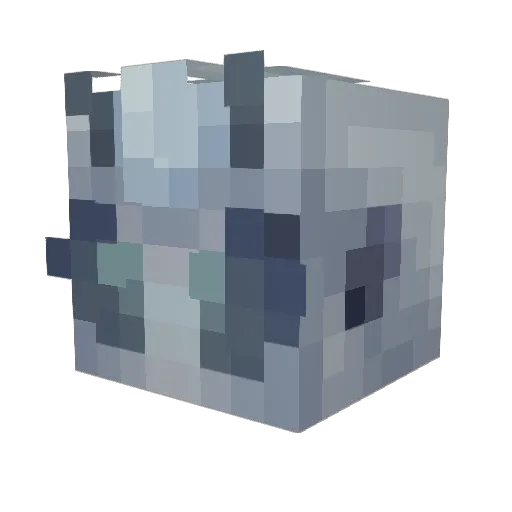 LuckyPenguin11 Minecraft avatar head, 3D render