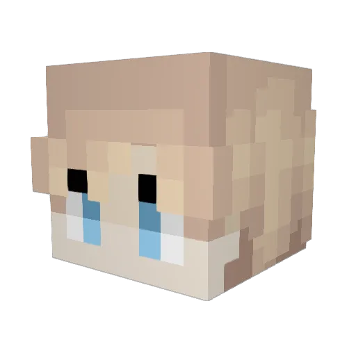 LuckyPenguin352 Minecraft avatar head, 3D render