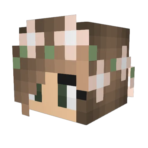 LuckyPenny503 Minecraft avatar head, 3D render