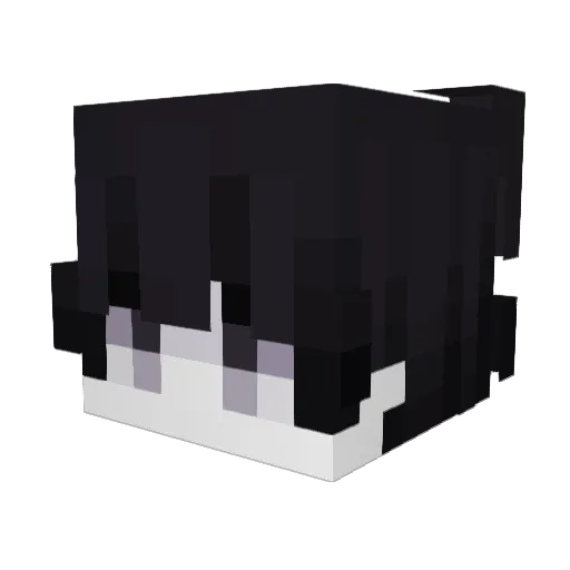 LuckyPerson00 Minecraft avatar head, 3D render