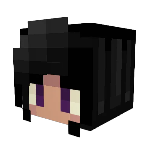 LuckyPocky Minecraft avatar head, 3D render