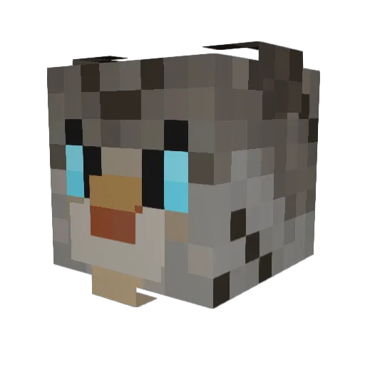 LuckyRanger123 Minecraft avatar head, 3D render